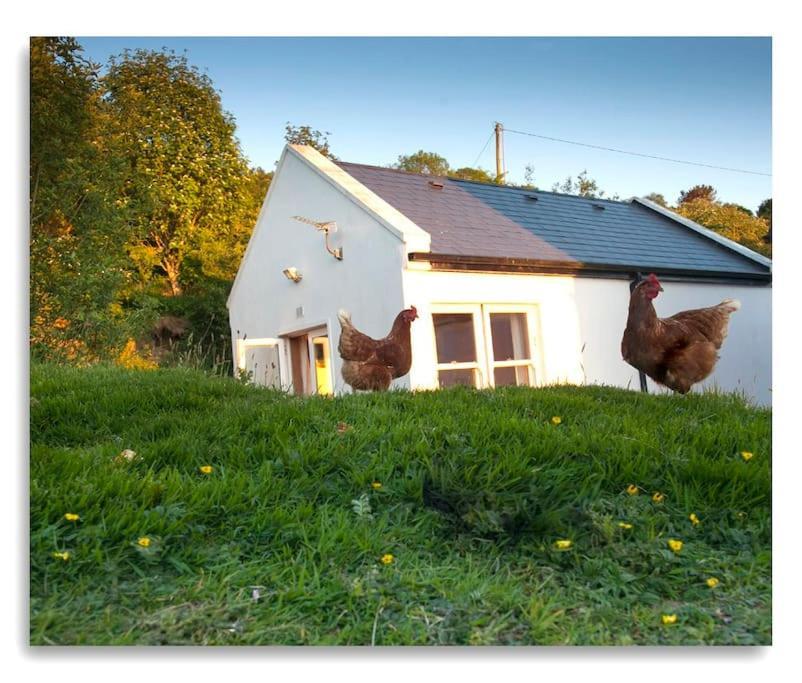 Cosy Self Contained Cottage With Stunning Views Кіллало Екстер'єр фото
